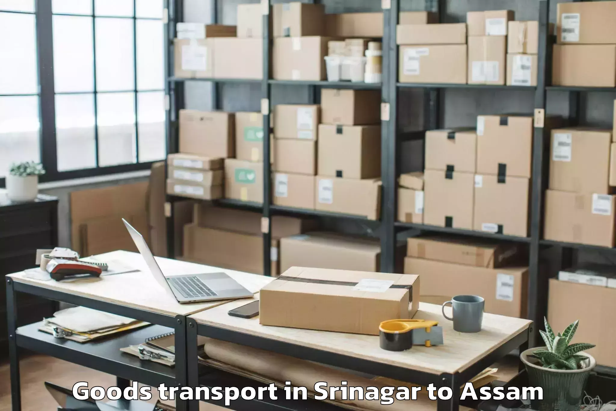 Book Srinagar to Abhayapuri Goods Transport Online